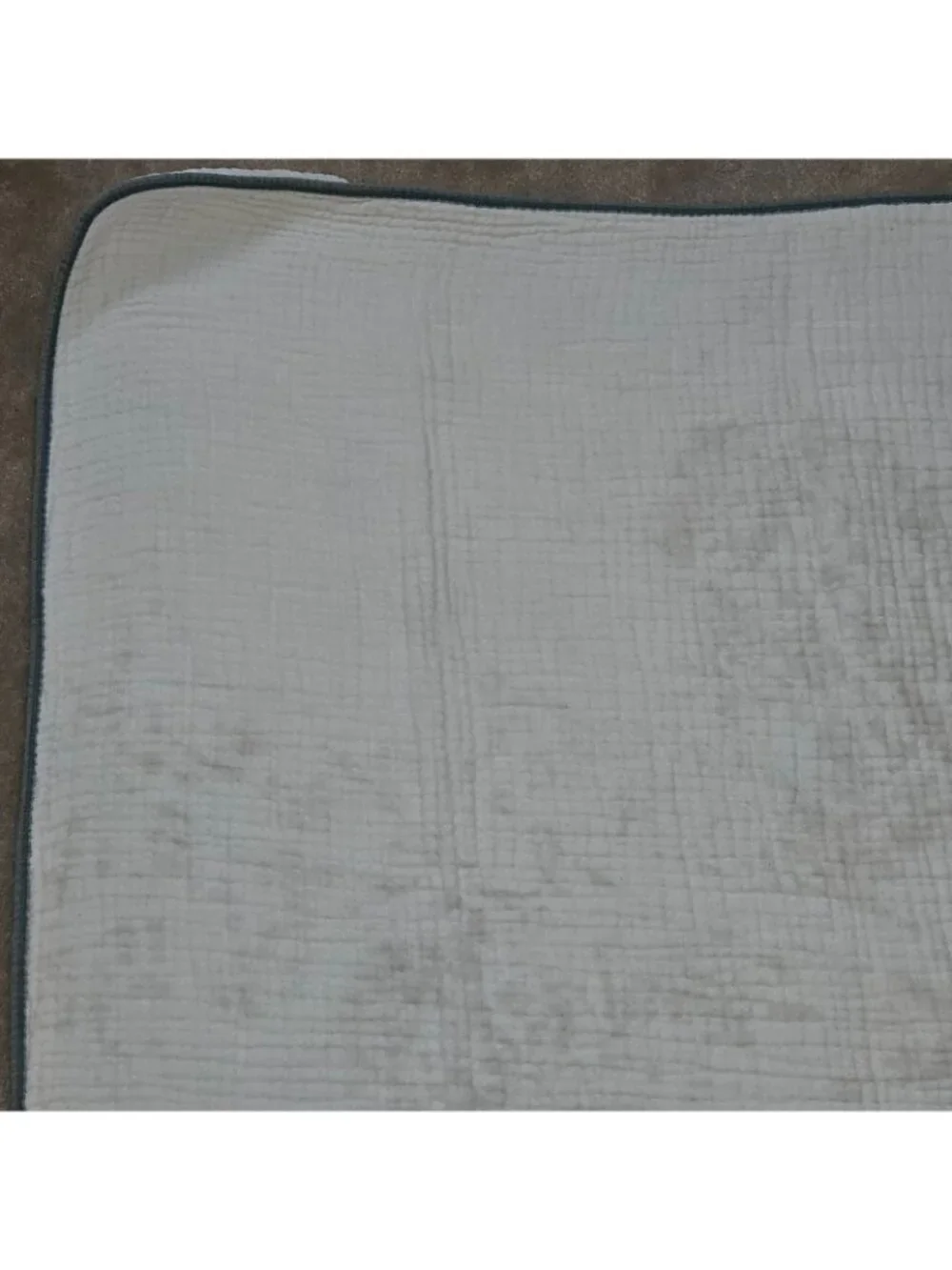 Addison Belle 100% Organic Cotton Muslin Blanket 39x42 Dinosaur Print READ